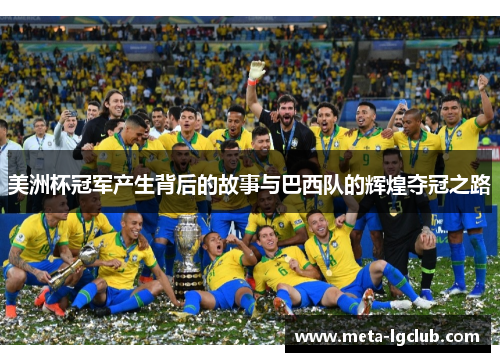 美洲杯冠军产生背后的故事与巴西队的辉煌夺冠之路