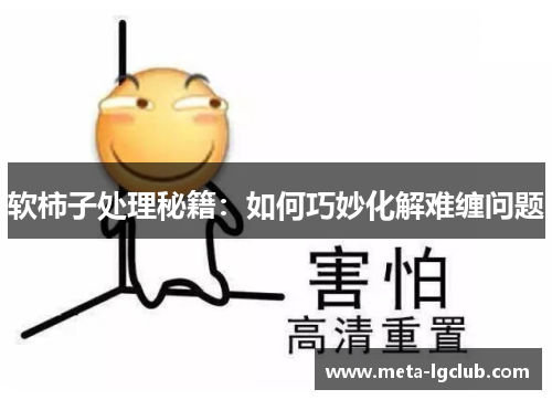 软柿子处理秘籍：如何巧妙化解难缠问题